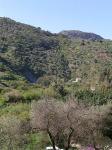 Blick auf die Hügel bei Comares